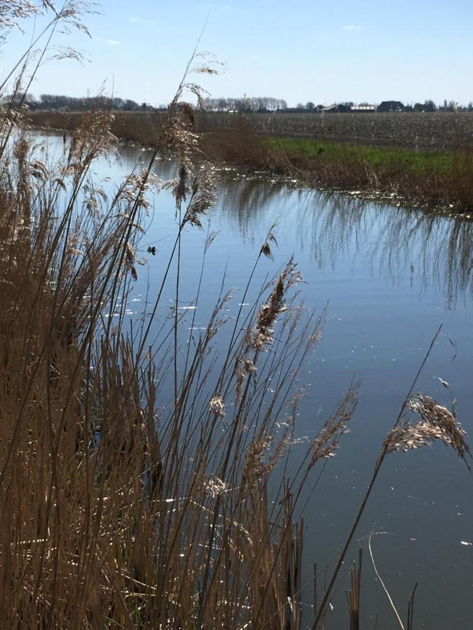 Vakantiehuis 'T Laaisterplakky Zonder Drempels Villa Oude Bildtzijl Exterior foto